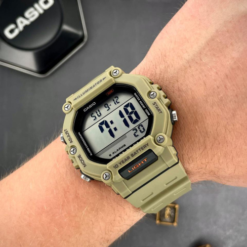 Часы мужские Casio AE-1600H-5A-1