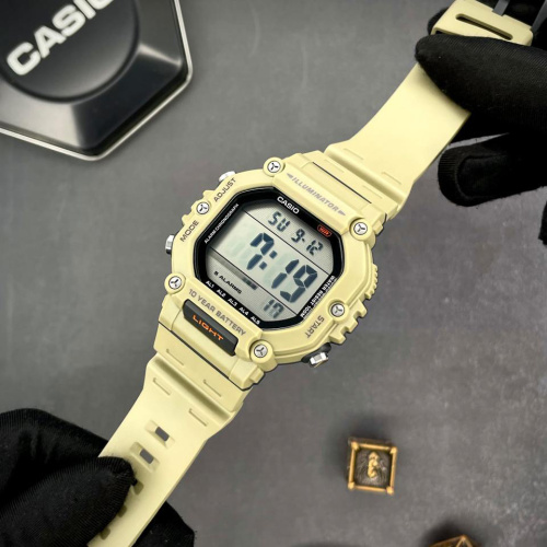 Часы мужские Casio AE-1600H-5A-2