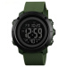 Picture Green-Black
