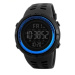Picture Black-Blue