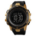Picture Black-Gold
