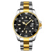 Picture Silver-Gold-Black