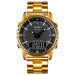 Picture Gold-Black