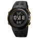 Picture Black-Gold