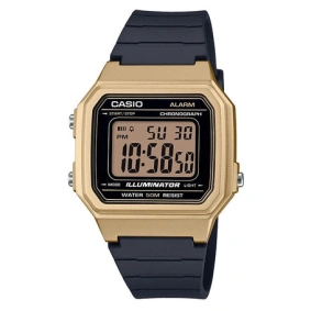  Casio W-217 HM-9A
