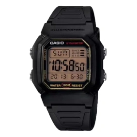  Casio W-800 HG-9A