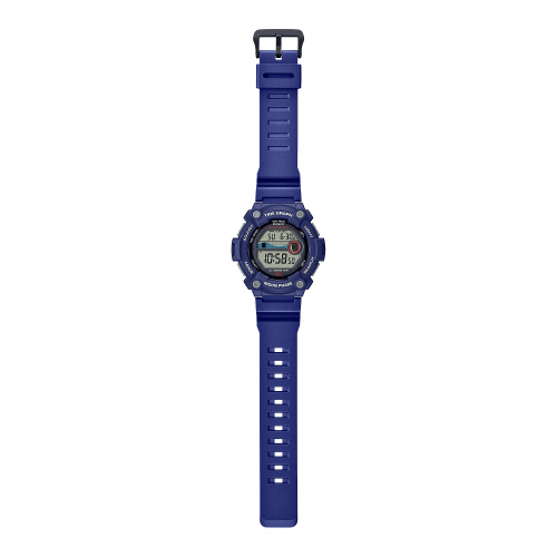 Часы мужские Casio WS-1300H-2A-0